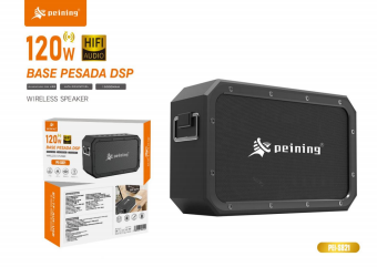 CAIXA DE SOM 120W - PEI-S821
